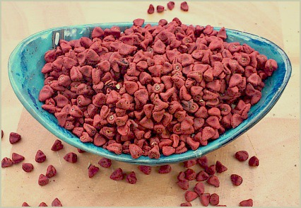 Picture of annatto seeds