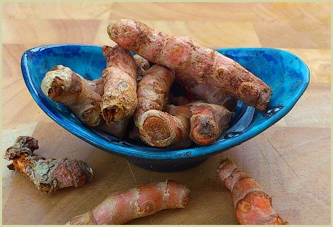 Picture of fresh turmeric root